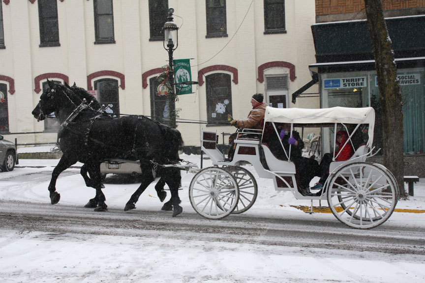 horse and buggy ride